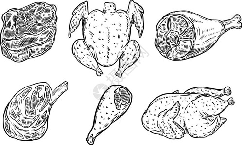 酿造的手工绘制的肉类插图插画