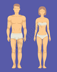 女孩骑马健康男女身体平面向量集插图健康男女身体平向量集人体插图