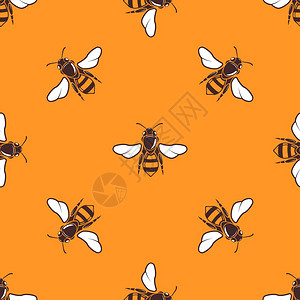 橙色中飞行的蜜蜂矢量无缝模式背景图片