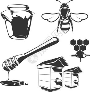 蜂蜜旧标签的病媒要素蜂蜜天然食品和甜插图图片