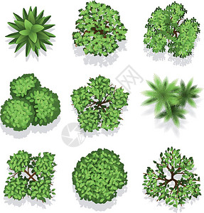树梢顶部看到的绿植元素插画