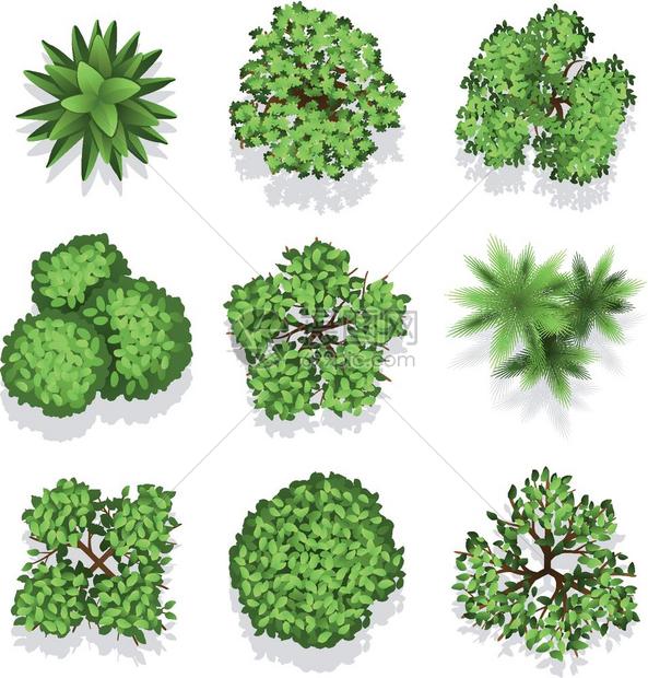 顶部看到的绿植元素图片