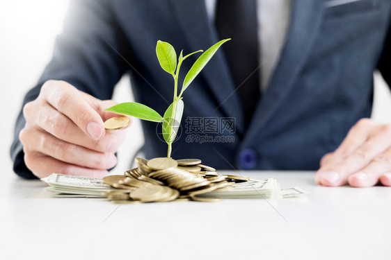 商人用钱币和植物储蓄金融概念的成功和植物储蓄金融概念的发芽来弥补棕榈图片