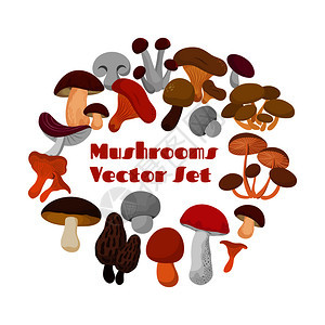 夏季和秋卡通可爱蘑菇元素图片