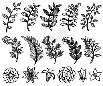 蝴蝶结元素草图画手的分支和叶矢量装饰植物自然元素草图画黑花和插图