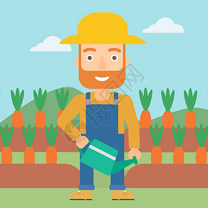 站在萝卜地里的长胡子男性农夫图片