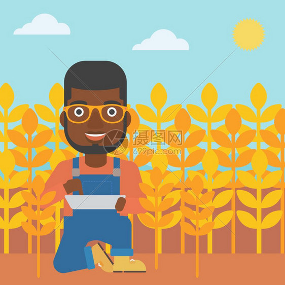 手持平板电脑蹲在麦田里的非裔农民图片