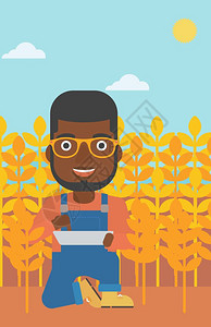 一名手持平板电脑蹲在麦田里的非裔农民图片