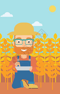一位手持平板电脑蹲在麦田里的农民图片
