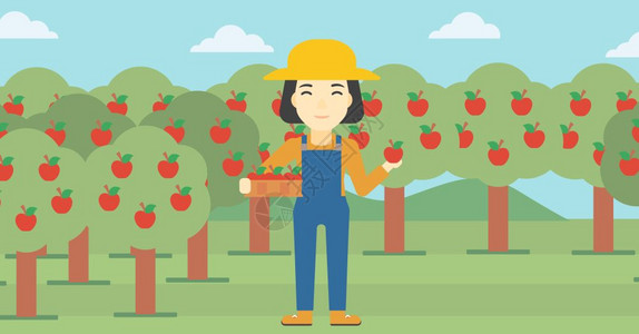 采集苹果的农民图片