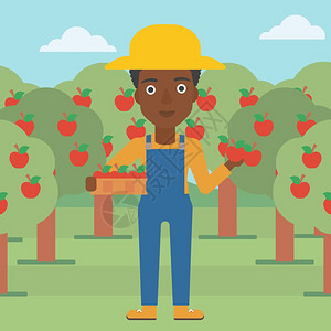 在果园抱着果篮采摘水果的非裔女性农民背景图片