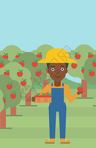 在果园抱着果篮采摘水果的非裔女性农民矢量插画图片