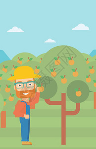 长胡子的在果园采摘水果的农民矢量插画图片