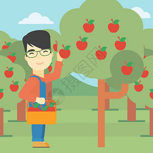 果园摘苹果的农民背景图片