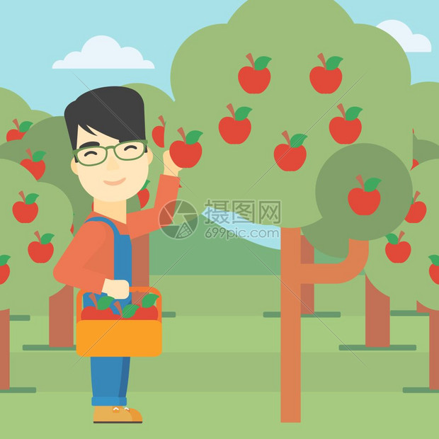 果园摘苹果的农民图片