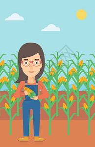 一位站在玉米田里抱着玉米的女性农民图片