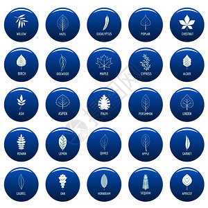 寺庙里的菩提树树叶图标组为蓝色简单插图25张树叶向量图标用于网络