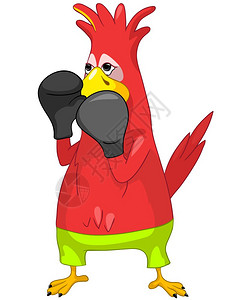 卡通滑稽的鹦鹉打拳击矢量插图图片