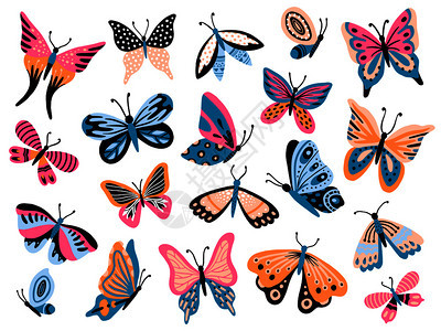 手绘各种各样花纹的蝴蝶矢量元素图片