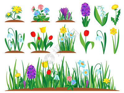 春天花园郁金香植物和园林草本绿花矢量插图图片