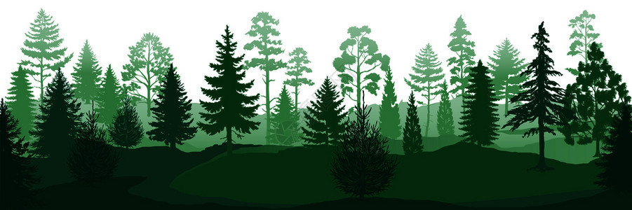 天然林木背景矢量背景插图图片