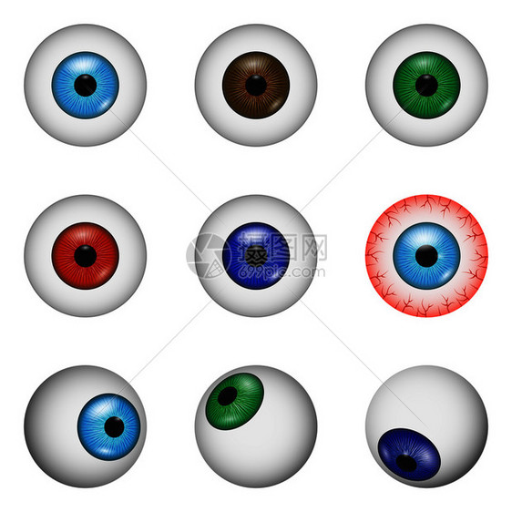 用于网络的9个眼球解剖模型眼球解剖模型设置现实的风格图片