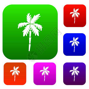 不同颜色榈树矢量插图图片