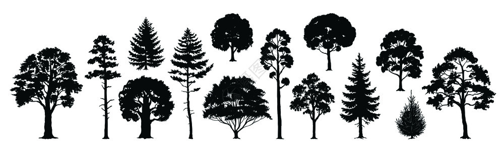 树木矢量元素插图图片