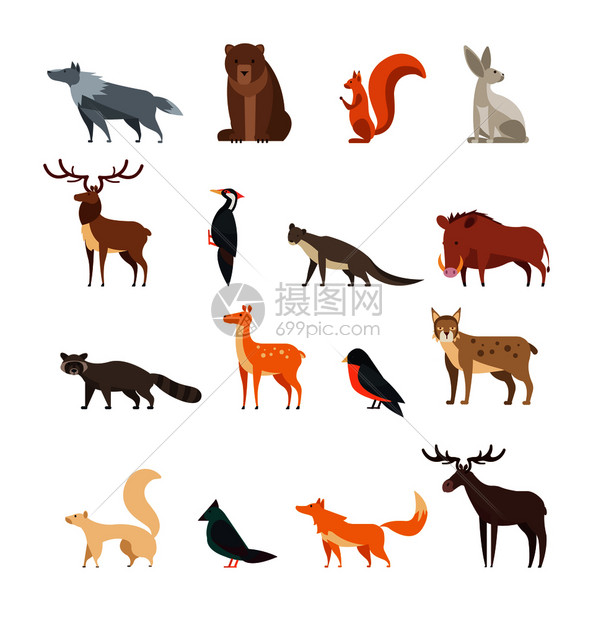 扁鹿熊兔子松鼠狼狐狸浣熊猫头鹰野生森林动物卡通人收集图解森林野生动物和鸟类卡通矢量被孤立插画图片下载 正版图片 摄图网