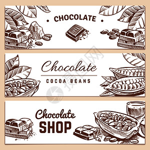 可豆巧克力制品横向矢量幅豆可植物和种子以示甜味可豆巧克力制品横向矢量幅图片