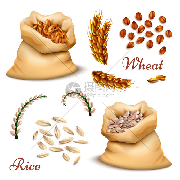手绘农业谷物矢量设计素材插画图片下载-正版图片302147597-摄图网