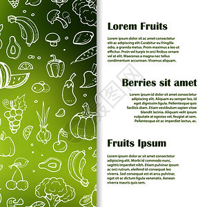 水果的横幅或海报模板矢量图图片