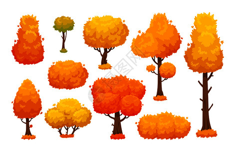 秋天橙黄色叶子的树元素插图图片
