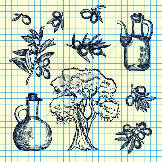 电池板上的橄榄枝瓶子和树上的橄榄枝和瓶子油插笔画树上的橄榄枝瓶子和树图片