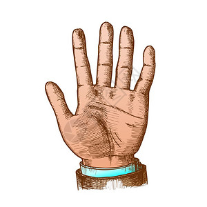 沙漠 手掌男手势五指向上矢量商人展示手势表示金额男子张开手掌示意