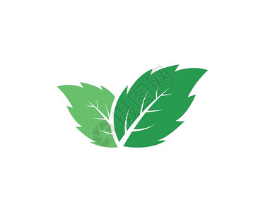 薄荷植物插画_薄荷植物卡通_薄荷植物插图_手绘_板绘_摄图网