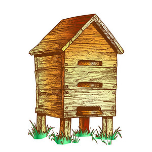 蜂蜜养殖木屋插画图片