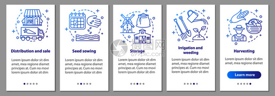 农业播种植储存分发步骤指示uxig矢量插图图片
