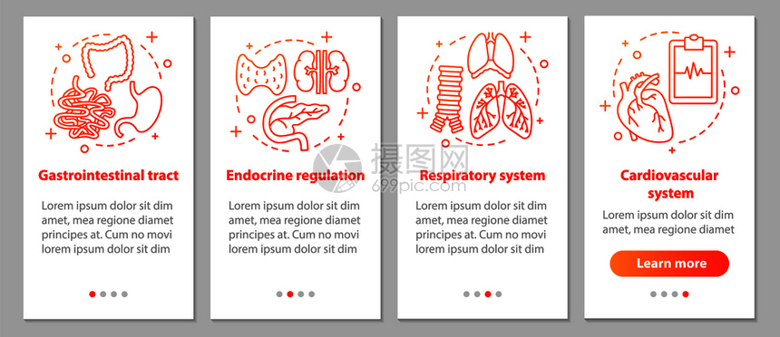 呼吸系统和心血管胃肠道内分泌调节步骤uxig矢量插图图片