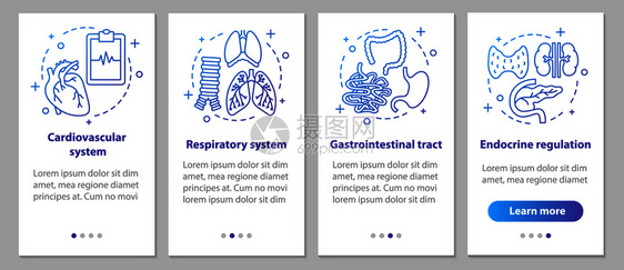 呼吸系统和心血管胃肠道内分泌调节步骤uxig矢量插图图片