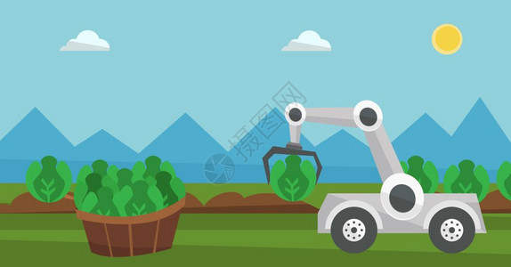 机器人在农田里采摘卷心菜卡通矢量插画图片