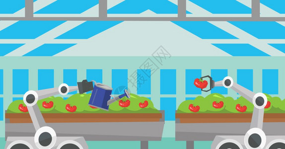 机器人在温室中采摘番茄为番茄浇水卡通矢量插画图片