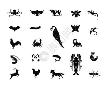 一组动物元素矢量设计模板图片