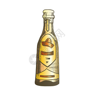 带有空白标签的玻璃瓶并设计了用于在墨西哥生产的古典酒精饮料薄膜伏特加由仙人掌颜色图解制成彩色传统墨西哥龙舌兰饮料瓶矢量图片