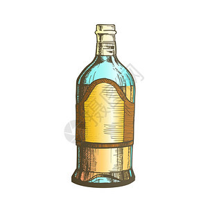 由蓝色藻类植物液态货包彩色插图制成用蓝色藻类植物液态货包彩色插图制成为在墨西哥生产的传统酒精饮料提供空白标签的复式玻璃瓶图片