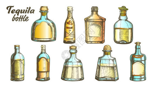 现代收藏的龙舌兰玻璃瓶装矢量用于传统墨西哥酒精饮料的不同设计现代和老式瓶子草图液体包装彩色插图的亮度时装龙舌兰玻璃瓶装矢量时的龙图片