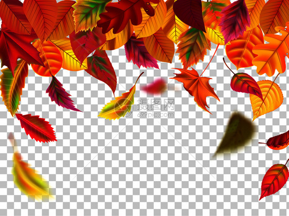 秋叶边框背景矢量元素插图图片