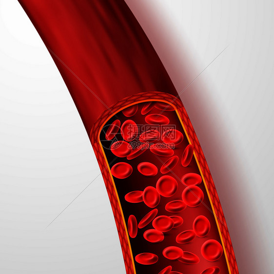血浆孤立矢量图中含有红血细胞的人体管浆孤立矢量图中含有大红血细胞的脉管系统流动液人类心管微生物带有红血细胞的人体管浆孤立矢量图中图片