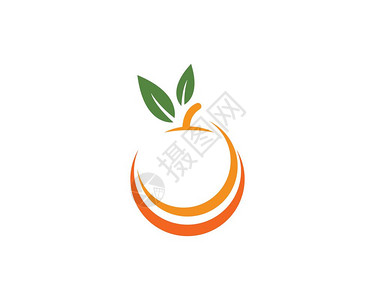 柑橘矢量橙色徽标设计矢量说明背景