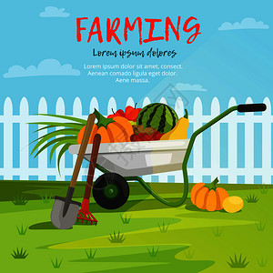 带蔬菜的手推车收获农场蔬菜和水果卡通背景插图图片